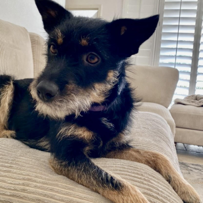 Chiquita